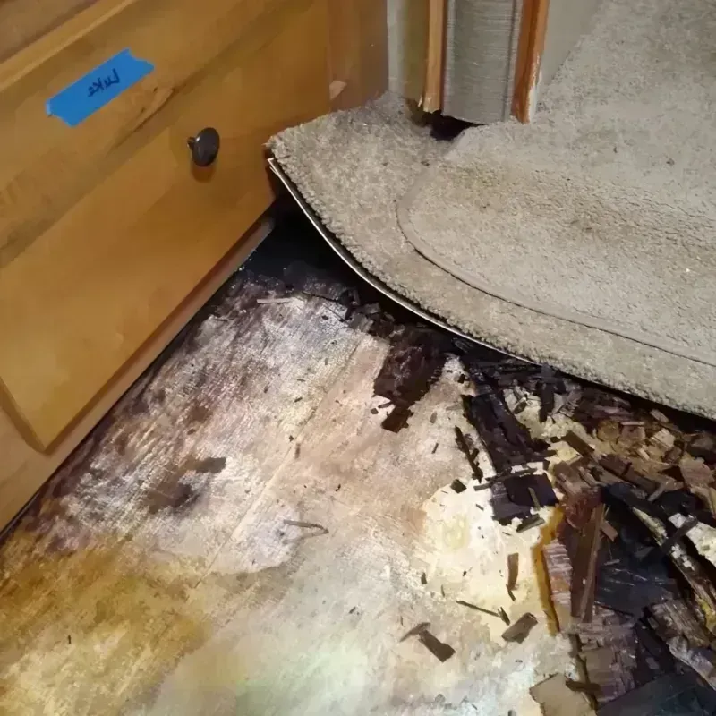 Best Wood Floor Water Damage Service in Washington, NJ